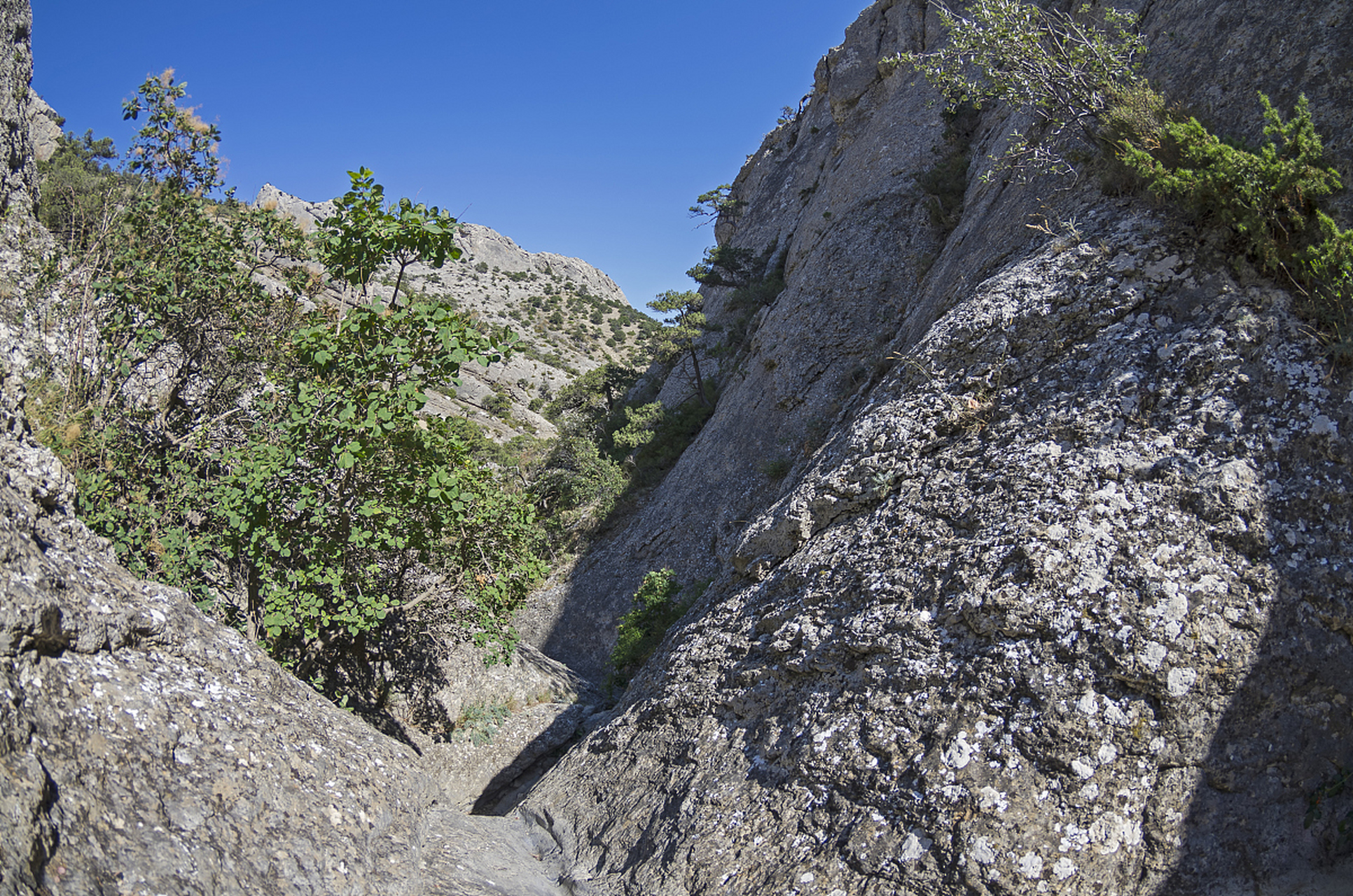 冰砬山国家森林公园位于铁岭市西丰县,总面积2200多公顷,最高峰海拔