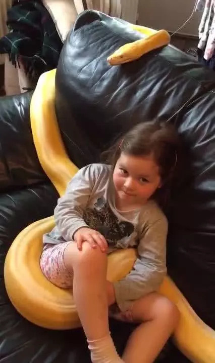 黄金蟒缠住小女孩张开血盆大口,猜中了开头猜不中结局