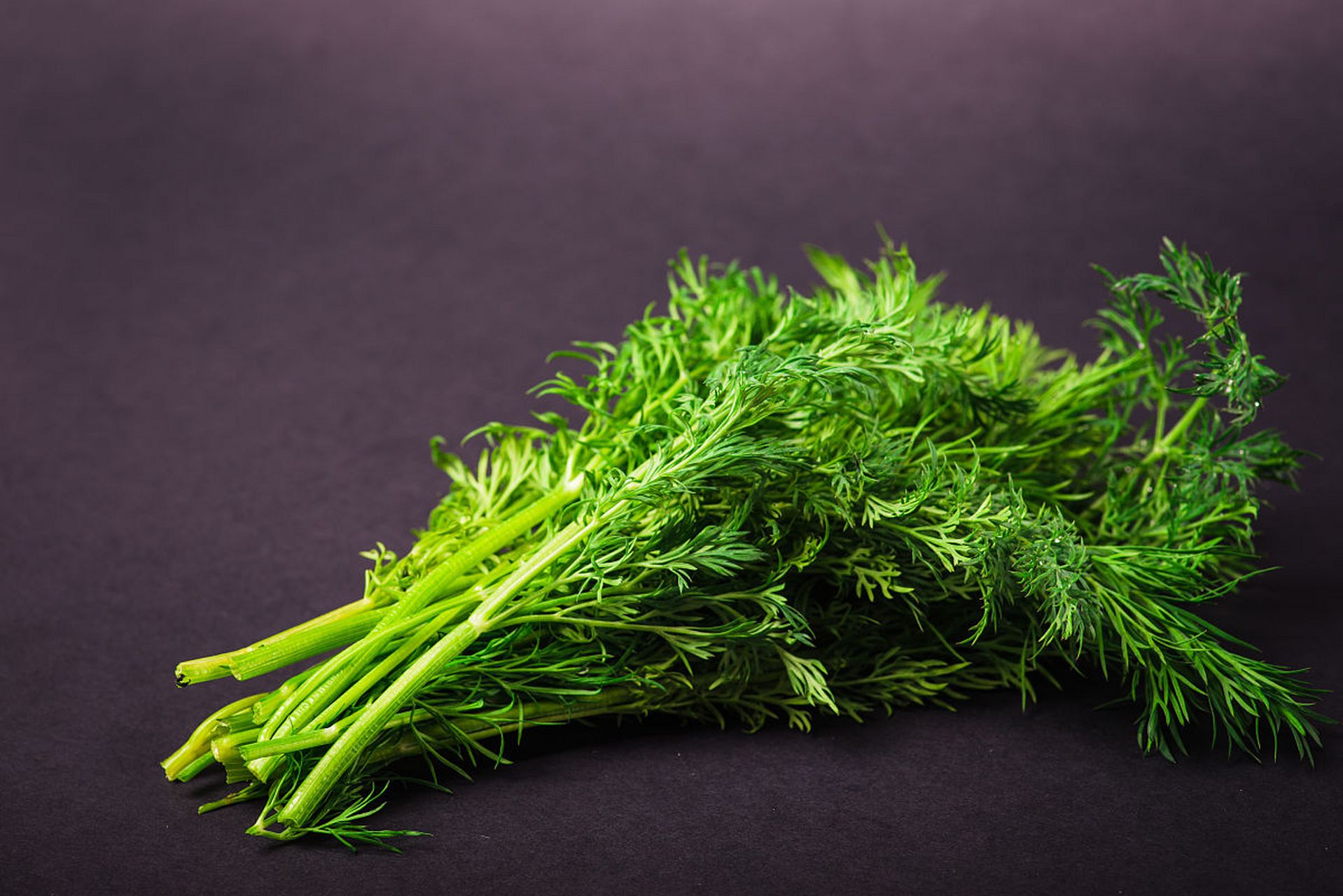 吃出营养大健康# #茴香#   "煮臭肉,下少许,即无臭气,臭酱入末亦香