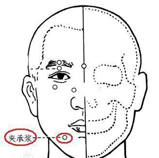承浆的准确位置图 baijiahao.baidu.com