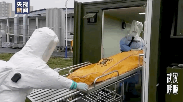 送别,28位大体老师