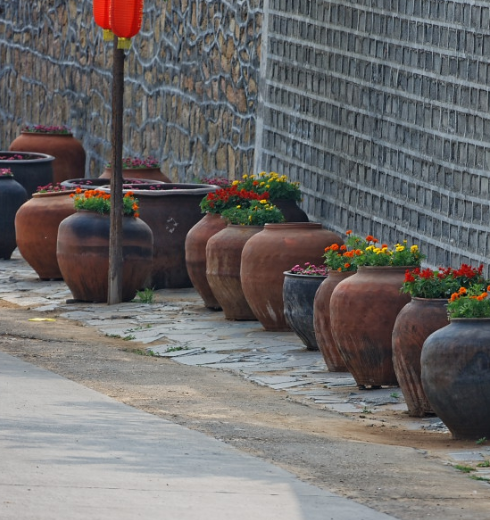 济南一乡村将上千个大水缸摆放在街边路旁当花盆成