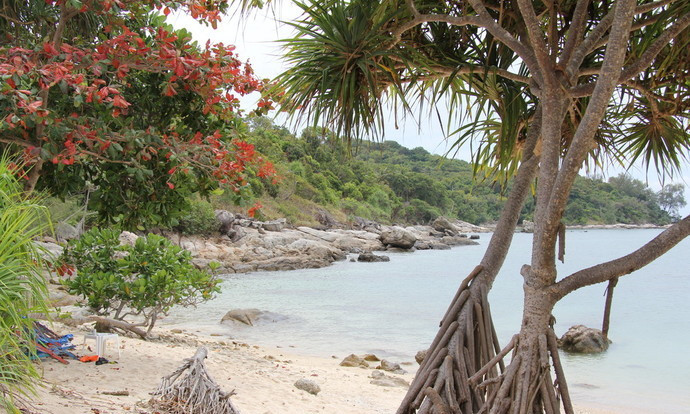 翡翠岛为泰国观光局强力推荐之渡假岛屿,亦为全国唯一海豚保护区