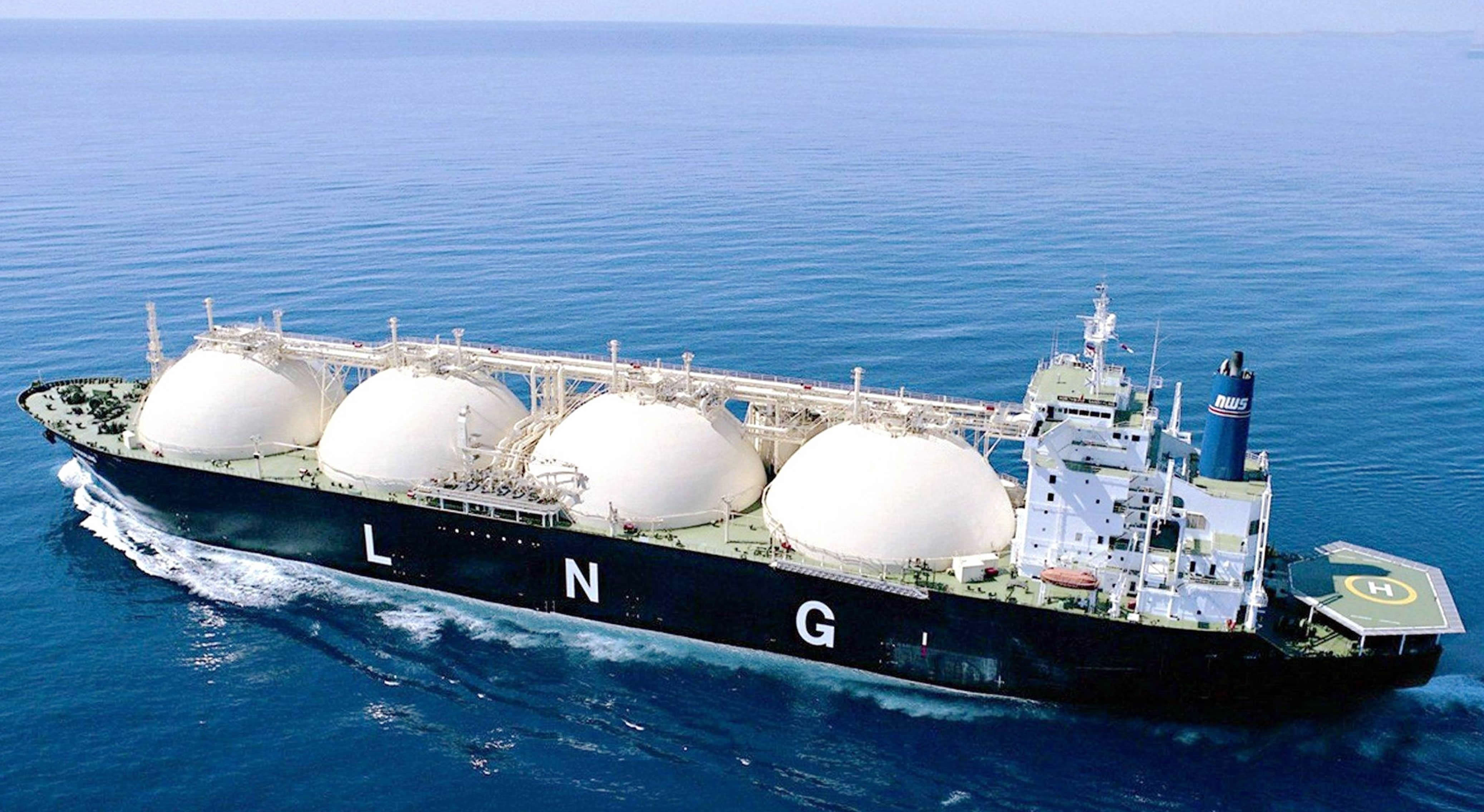 《国籍散装化学品规则》第17章所列任何液体化学品货物的船舶