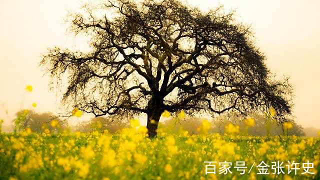 旅行好心情的句子(旅行好心情的句子短句)