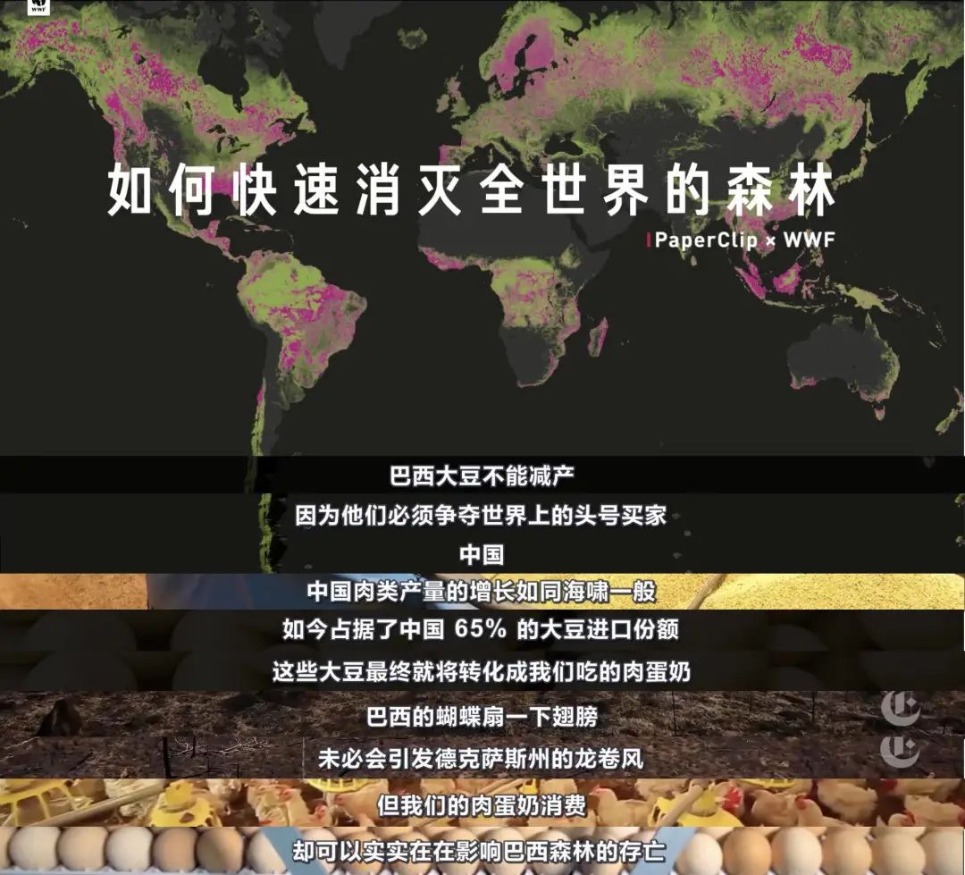 网红视频博主"回形针"这回要凉了?看看事件始末