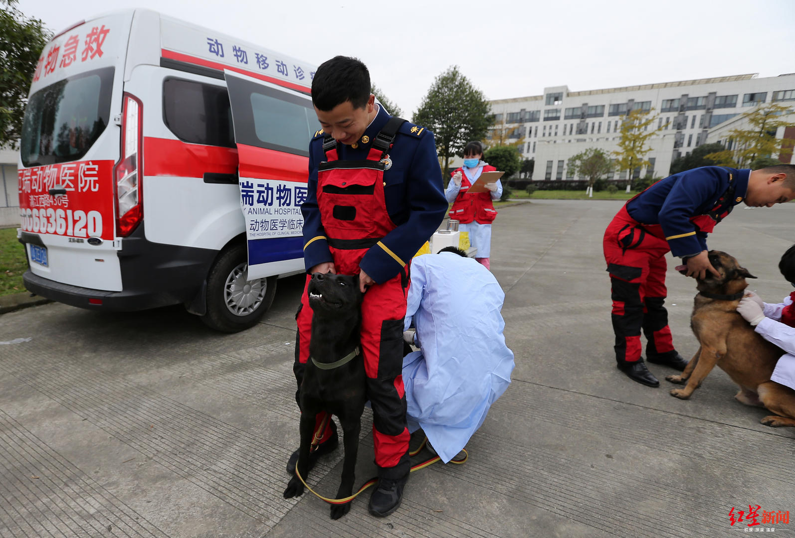 宠物救护车来了 收费500-1000元随车配4名医护人员