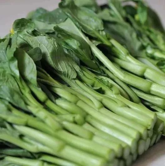 「滋味」知否知否,吃菜尖应是现在!
