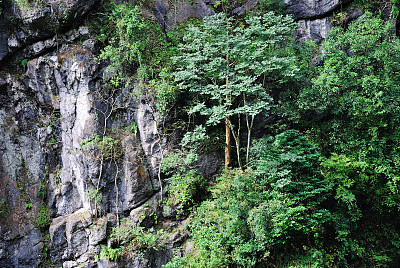 邛崃宝珠山图片