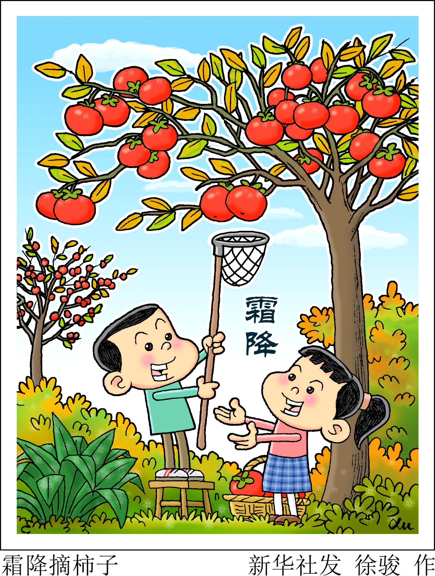 (图表·漫画)「二十四节气·霜降」霜降摘柿子