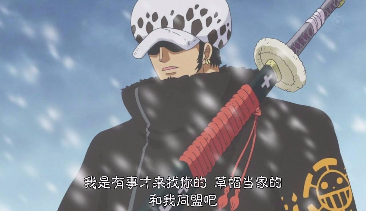 海贼王95卷sbs情报:罗注定死亡,他会使用"不老之术"复活路飞