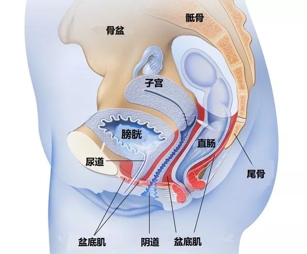 女婴生殖区图有图慎入图片