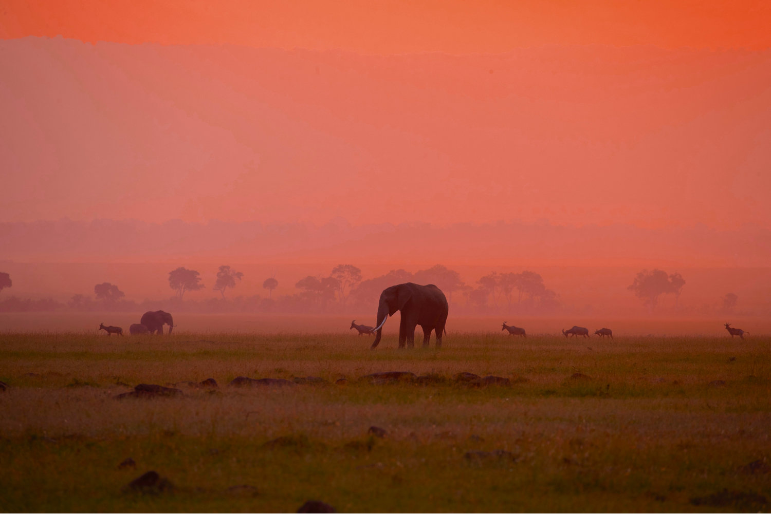 风光摄影:马赛马拉国家公园