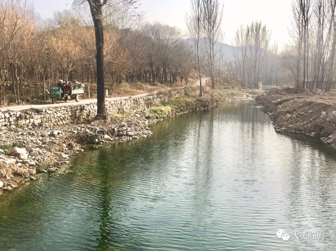 走进临朐五井镇水泉社区