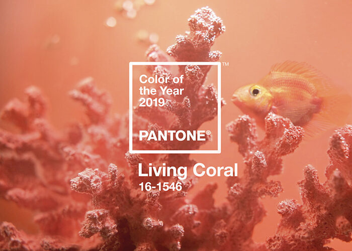 「pantone2019年度色·珊瑚橙」在家居装饰中的10种时尚用法!