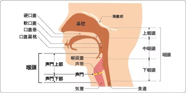 被鱼刺卡喉到医院检查,竟查出癌症!早期症状跟感冒很像