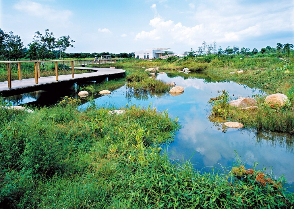 郑州黄河国家湿地公园图片