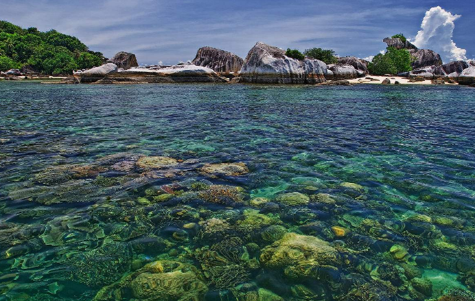 印尼婆罗洲岛之旅