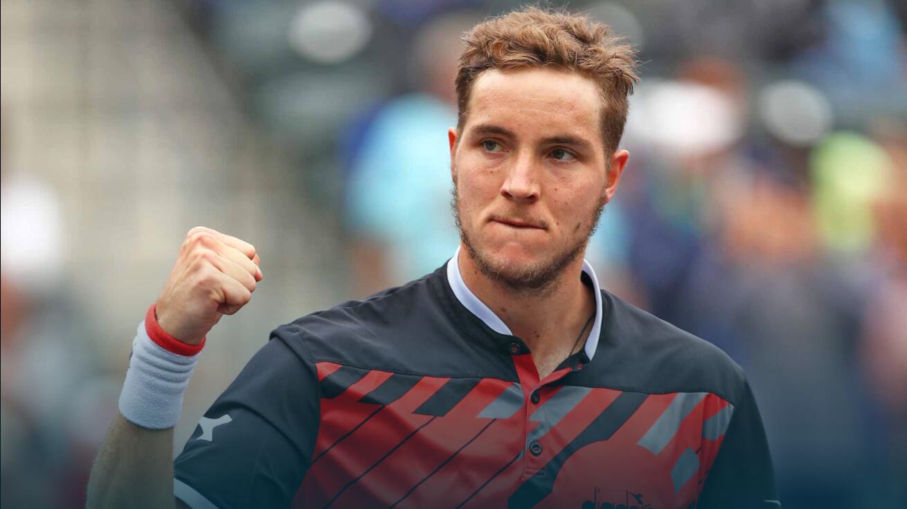 斯特鲁夫网络参考资料图片