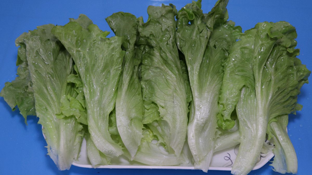 生菜最简单最好吃的做法,3分钟就搞定,清淡翠绿,连汤汁都能下饭
