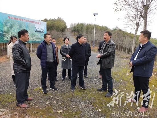 刘宗林来东调研农村耕地保护和特色农业产业发展