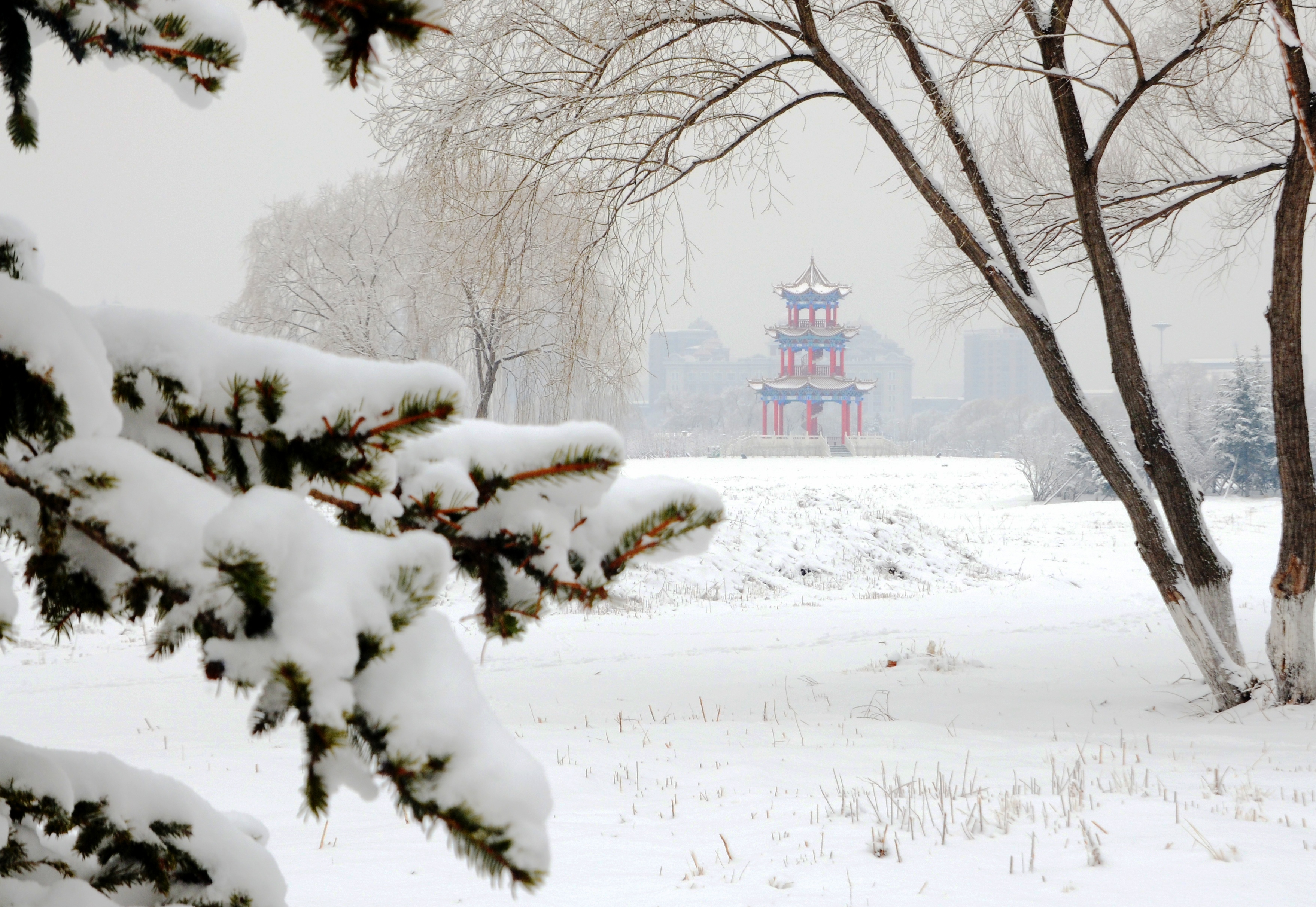 丹东雪景图片图片