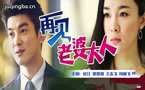 再见老婆大人介绍