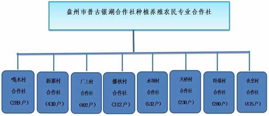 合作社 - 热门商品专区