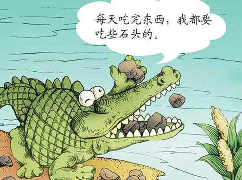 长方体的便便,鳄鱼喜欢吃石头,20个动物冷知识