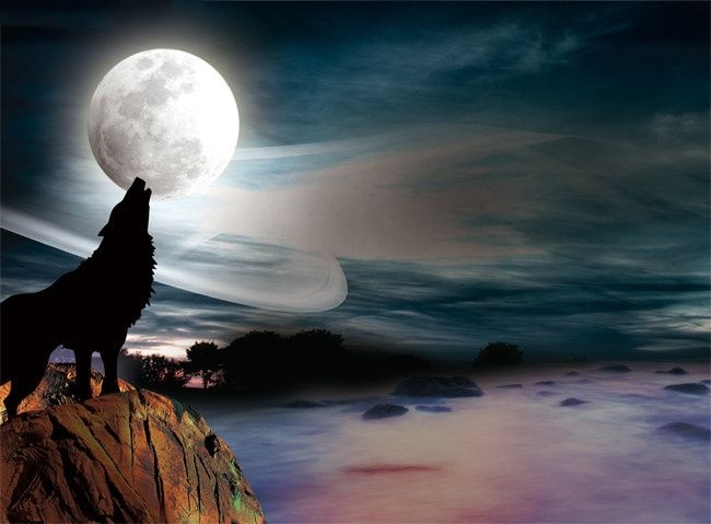 20年前初中语文曾学过这篇古文,直到今天才明白蒲松龄笔下的深意