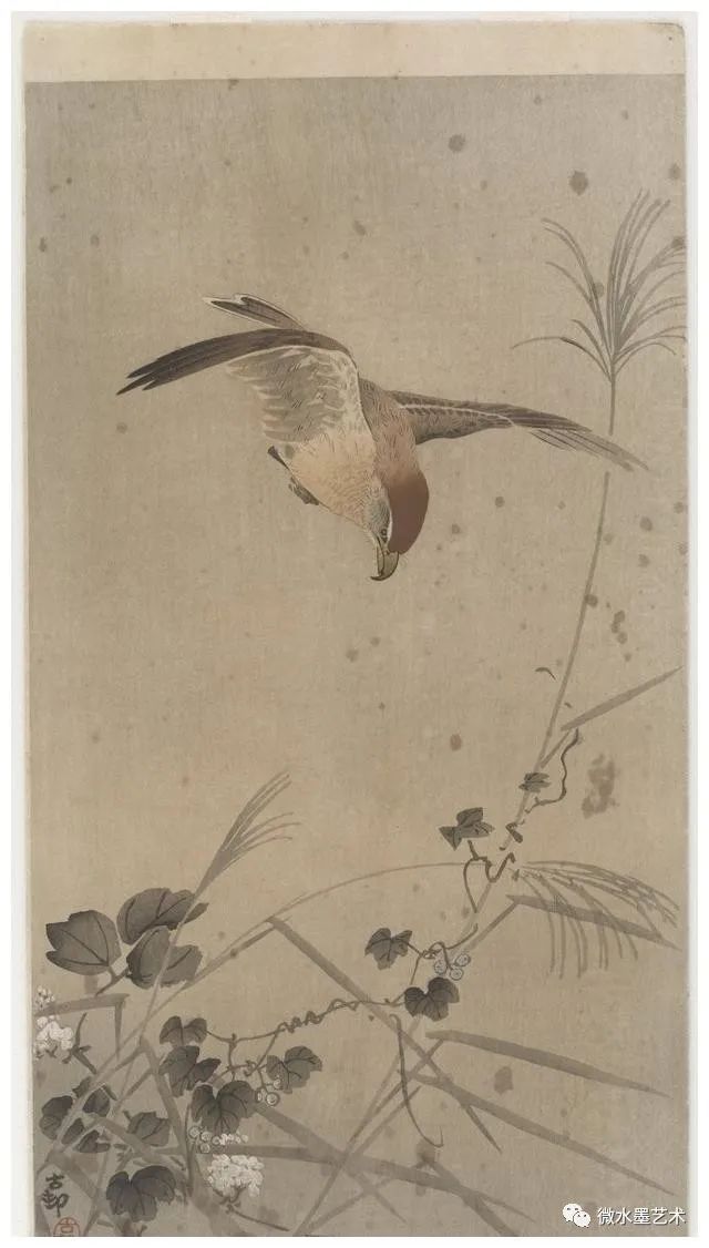 日本大师花鸟画,太美了!