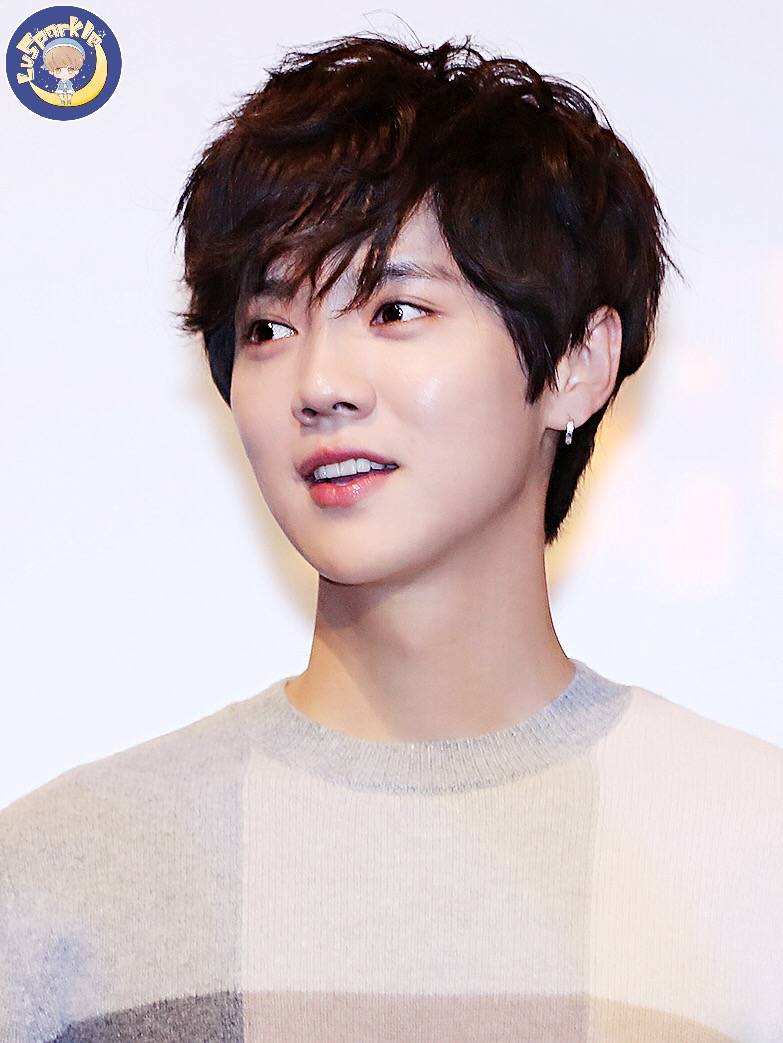 鹿晗or张一山,来自北京的四大九零后小鲜肉,你更喜欢谁?