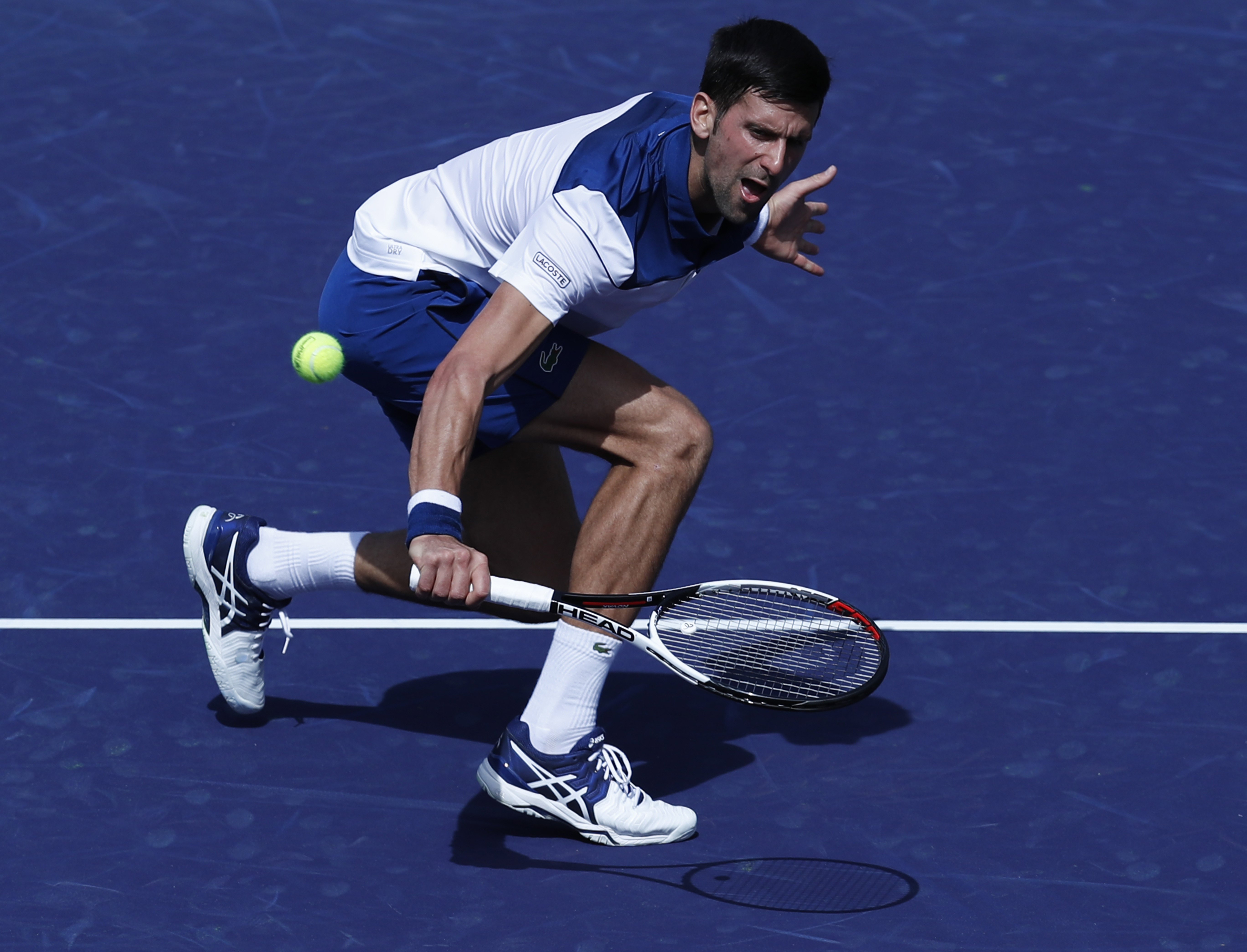 网球——巴黎银行公开赛:焦科维奇出局[8]