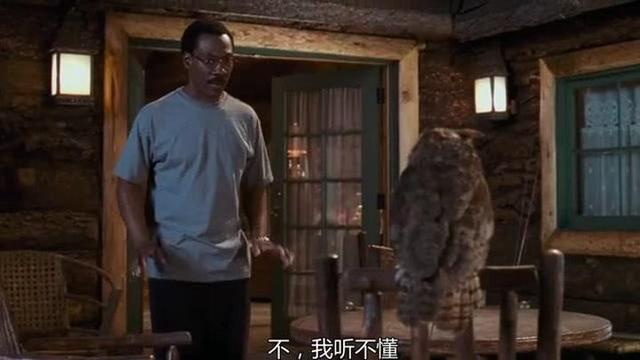 电影推荐:探求人与动物的和谐相处《怪医杜立德2》