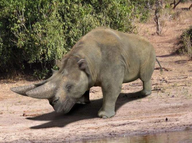 巨鬣齿兽,巨鬣齿兽是非常大型的鬣齿兽科动物,鬣齿兽外形奇异,形似