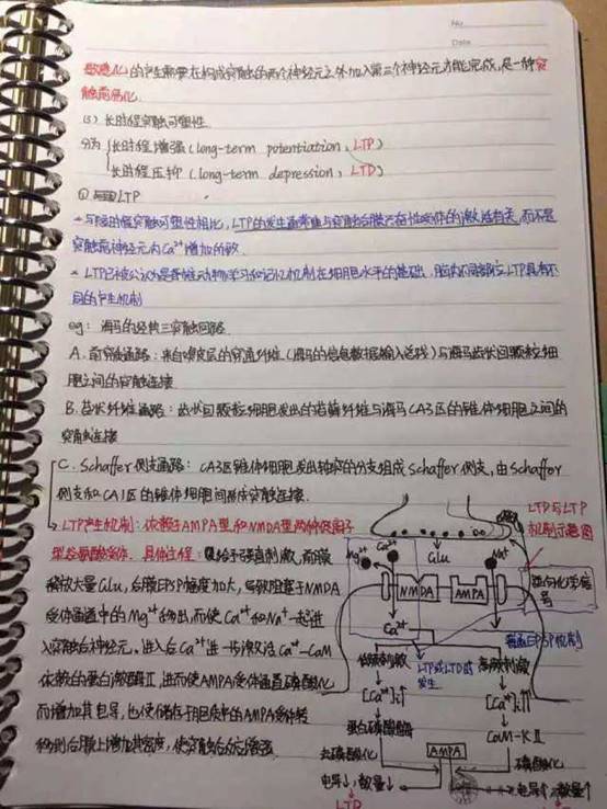 美女学霸秀了一下她的笔记,这就是年年奖学金的笔记,真厉害