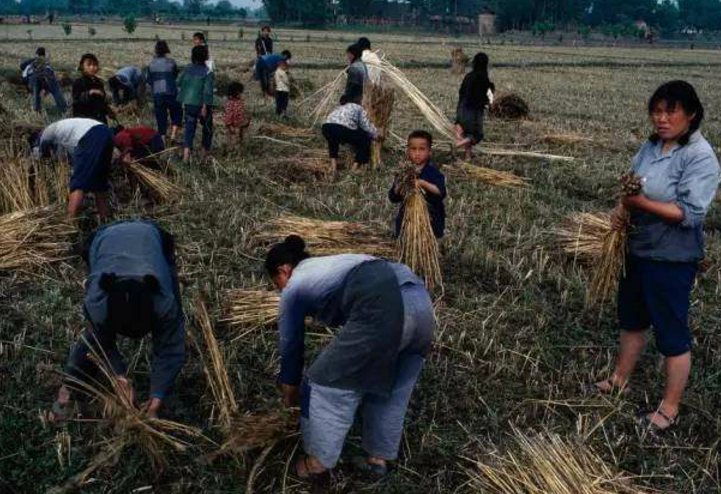 中国60年代时珍贵老照片,记录当时的农村生活,人们自己丰衣足食