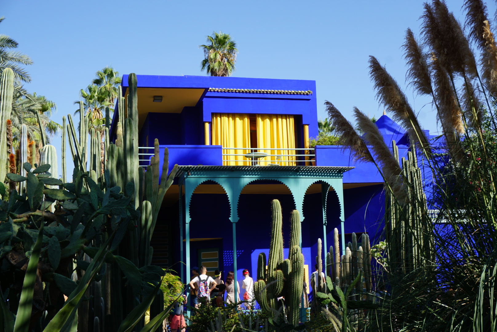 摩洛哥|打卡ins马拉喀什超美网红点-马约尔花园