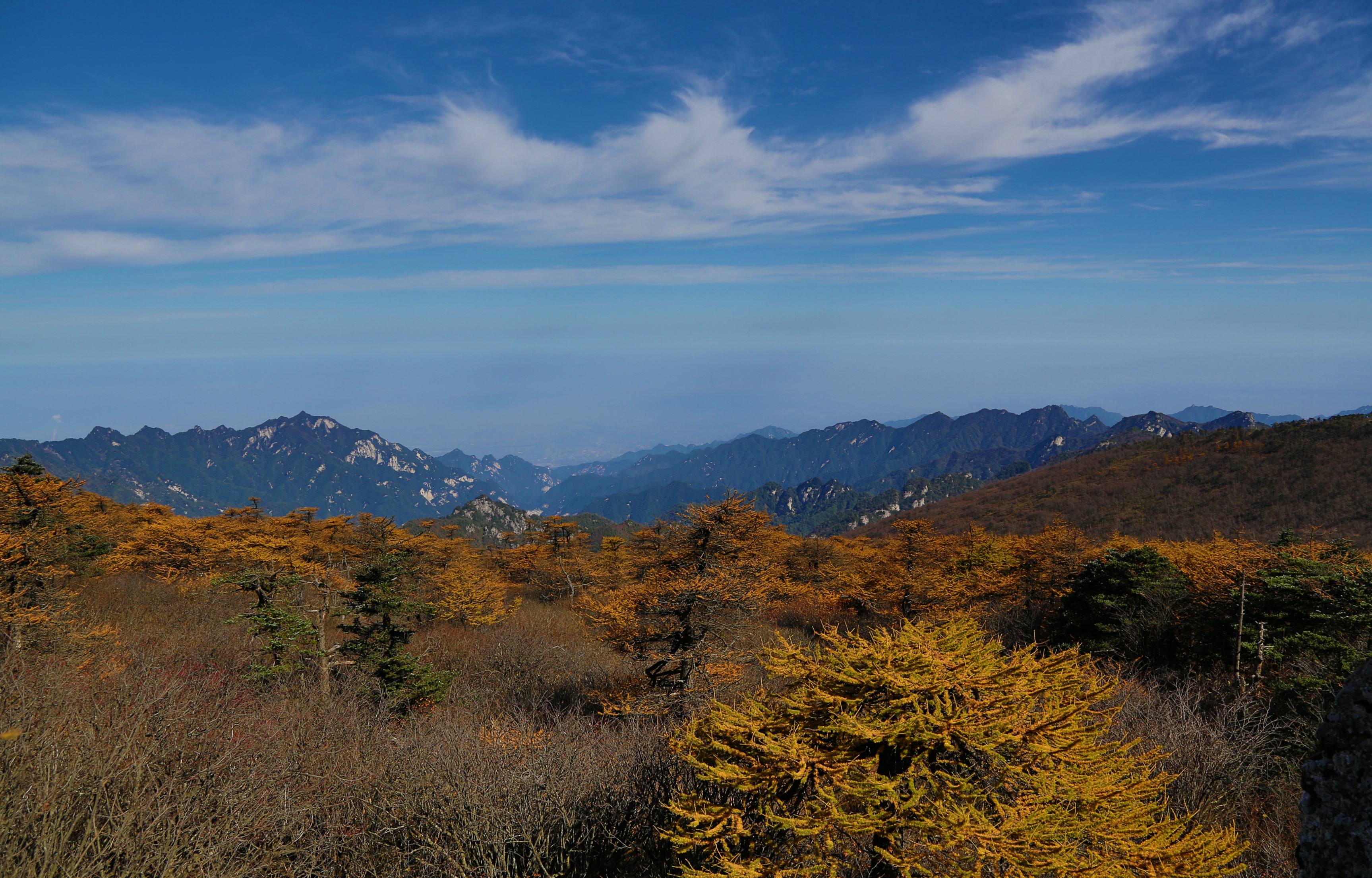 成功转运,求财得财,求势得势,万事顺遂,一顺百顺的3生肖