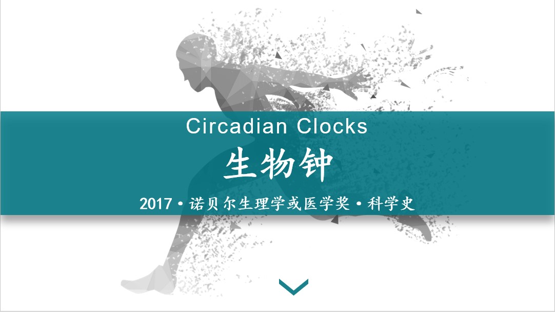 神奇的生物钟——2017年诺贝尔生理学和医学奖科学史梳理