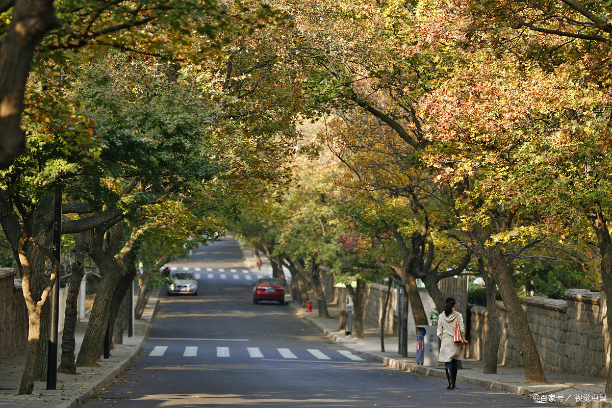 秋天的街道风景线