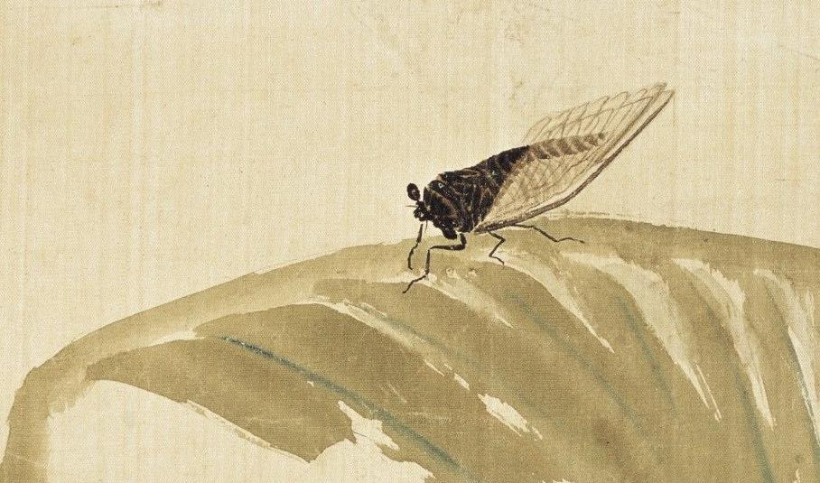 为什么齐白石的"蝉"能卖到8亿价格,专家:放大30倍后就能明白