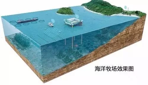 吃货福音!北海银滩南部海域入选国家级"海洋牧场"