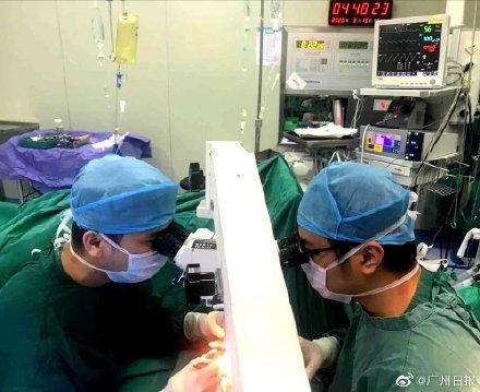 男子砍豬骨不慎砍斷手 4名醫生12小時接力接上斷掌