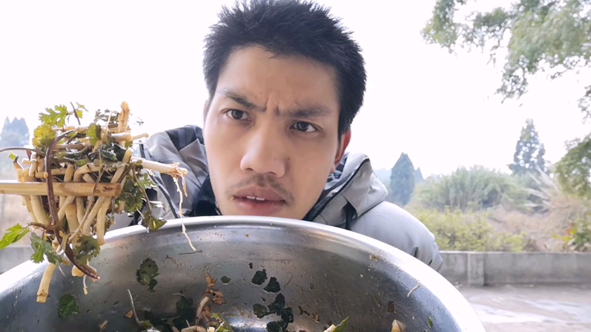 大厨分享“野生香菜拌折耳根”,酸辣爽口,开胃下饭,馋得流口水