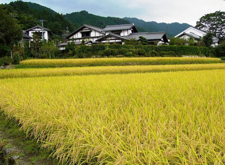 实拍日本农村:道路整洁,现代化设施一应俱全,居民贫富差距很小