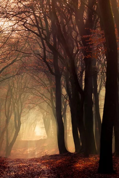 精选唯美风景壁纸 转载自百家号作者:茯苓fu