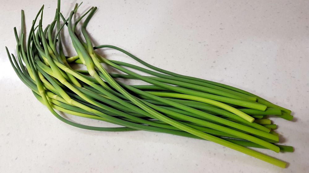 蒜薹- 热门商品专区