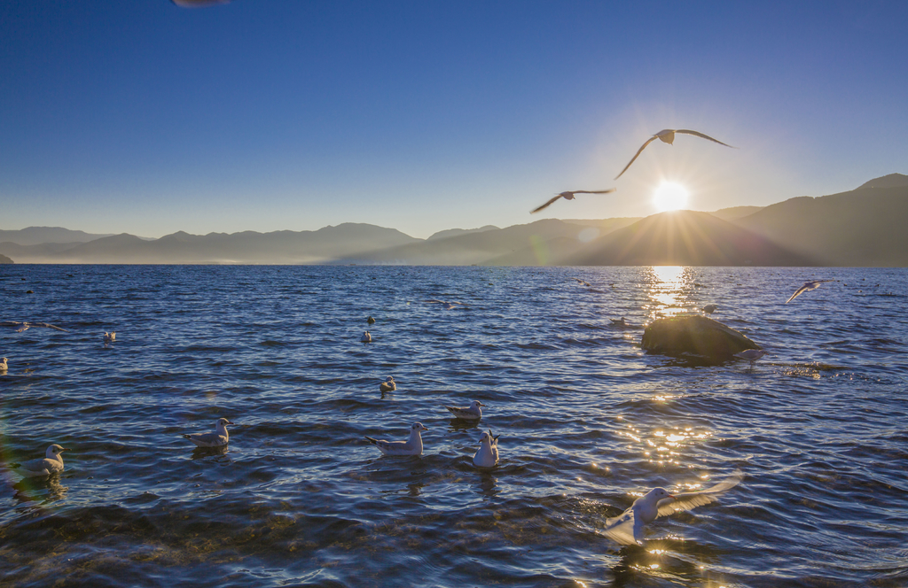 景色图集:冬季日出的那美丽的泸沽湖 转载自百家号作者:小佳摄影