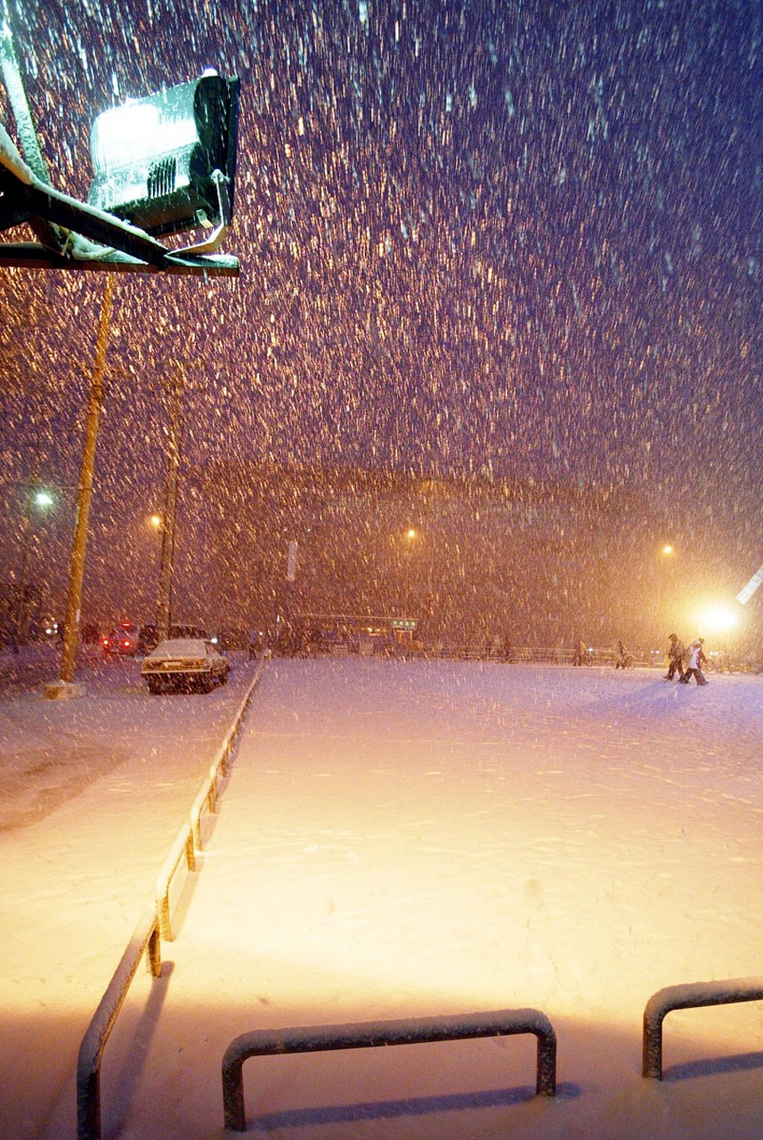 北京下雪的照片图片